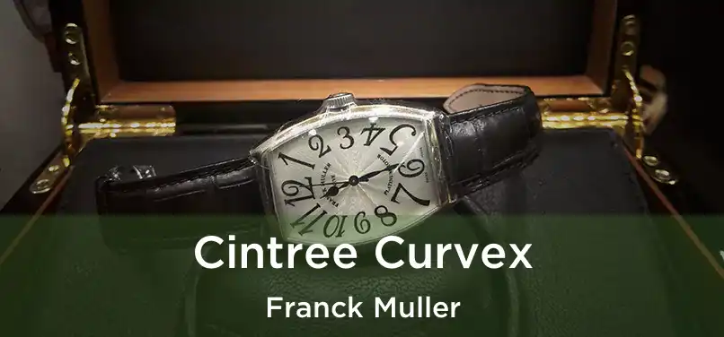  Cintree Curvex Franck Muller