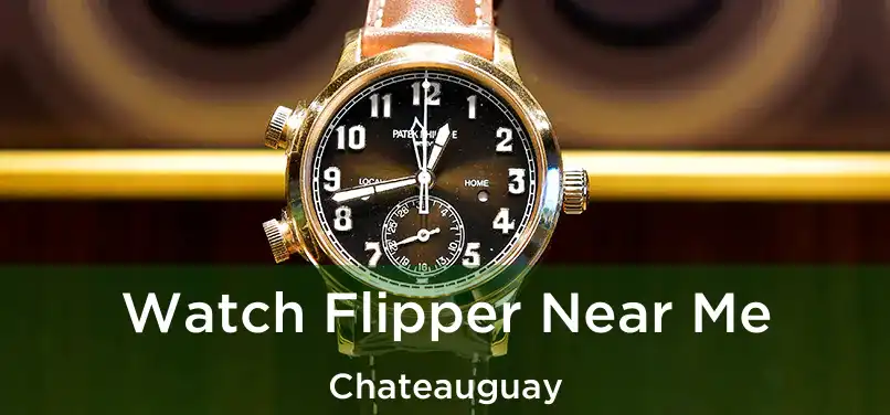  Watch Flipper Near Me Chateauguay
